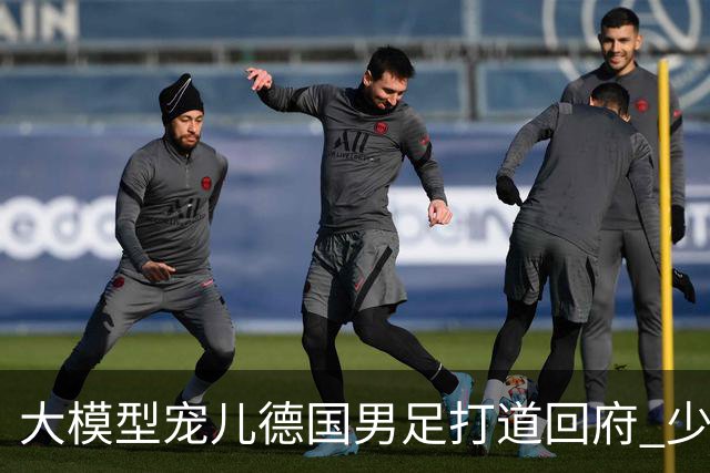 大模型宠儿德国男足打道回府 少了人性观察数据等于废纸